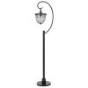 63 in. H Dark Bronze Metal and Glass Lantern Style Floor Lamp with Edison Bulb by CAL Lighting