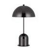 20 in. Height Gun Metal Finish Metal Accent Lamp with Shade by CAL Lighting