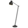 Davidson 65 in. Matte Black Metal Indoor Floor Lamp with Adjustable Arm by CAL Lighting