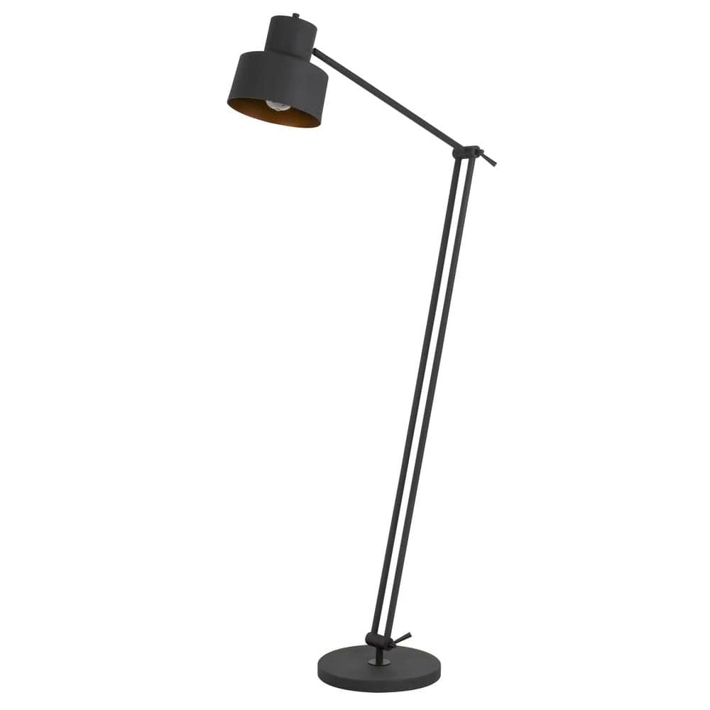 Davidson 65 in. Matte Black Metal Indoor Floor Lamp with Adjustable Arm by CAL Lighting